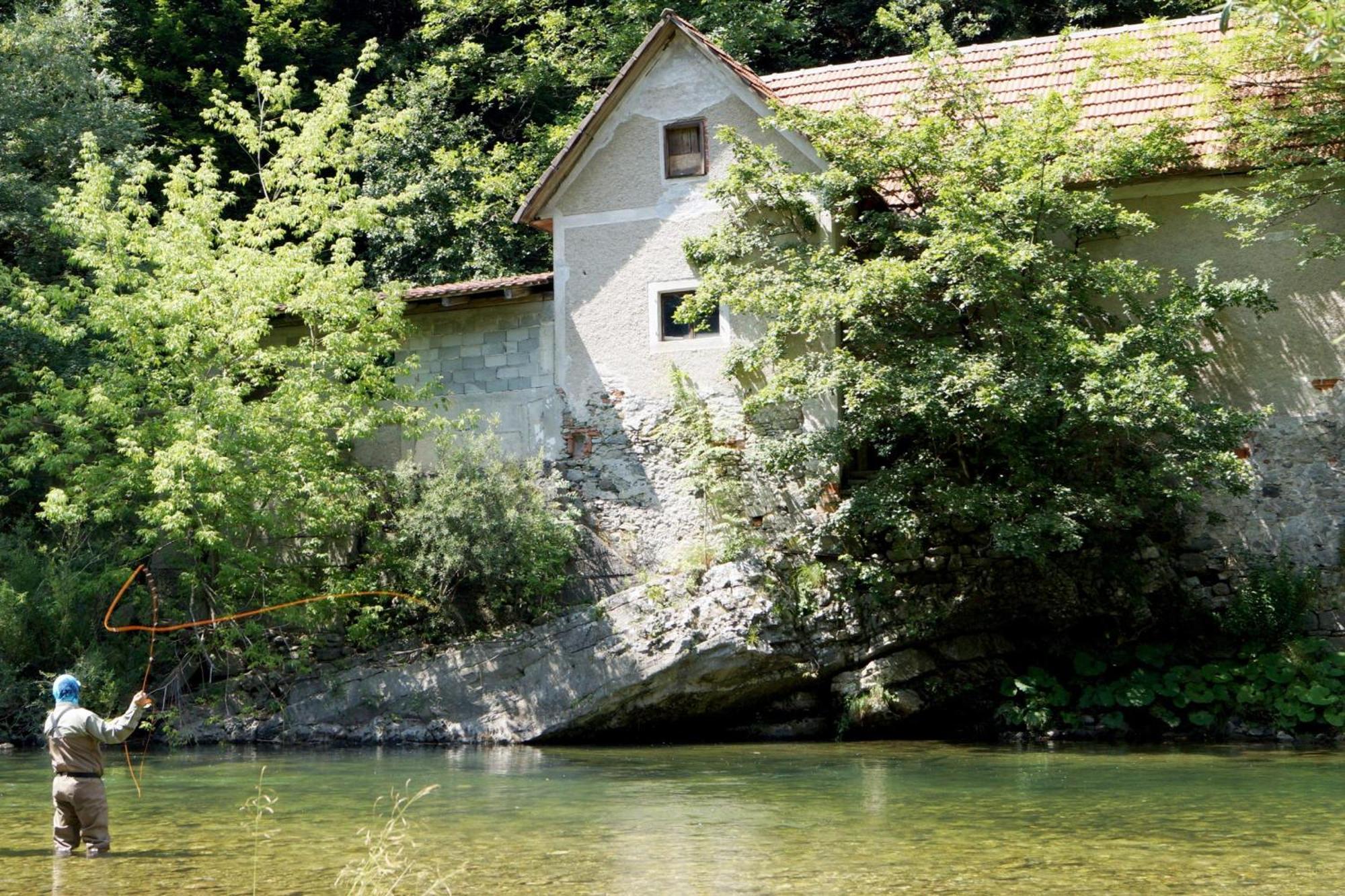 House Na Meji With Sauna - Happy Rentals Pivka Exterior photo